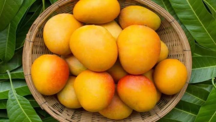 ছবি: ইন্টারনেট
